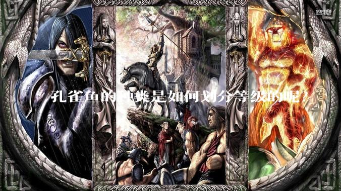 孔雀鱼的种类是如何划分等级的呢？