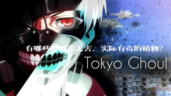 有哪些长得很无害，实际有毒的植物？