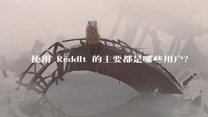 使用 Reddit 的主要都是哪些用户？