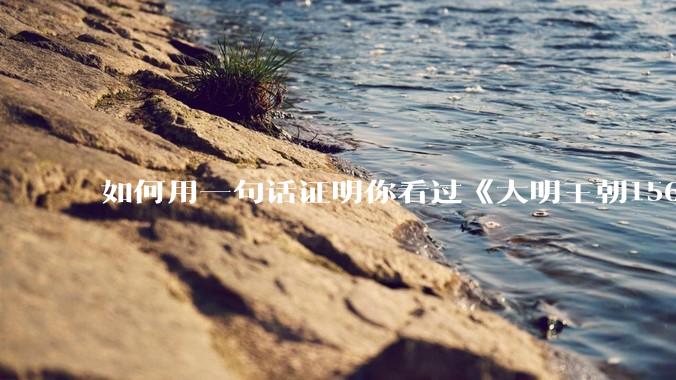 如何用一句话证明你看过《大明王朝1566》？