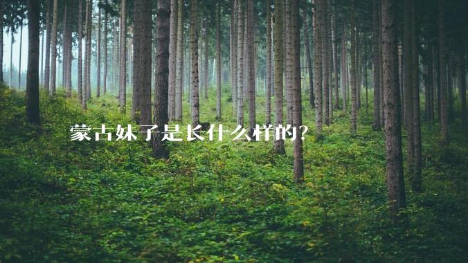 蒙古妹子是长什么样的？