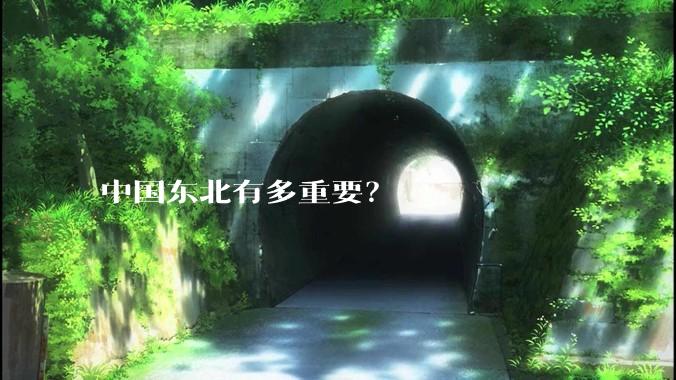 中国东北有多重要？