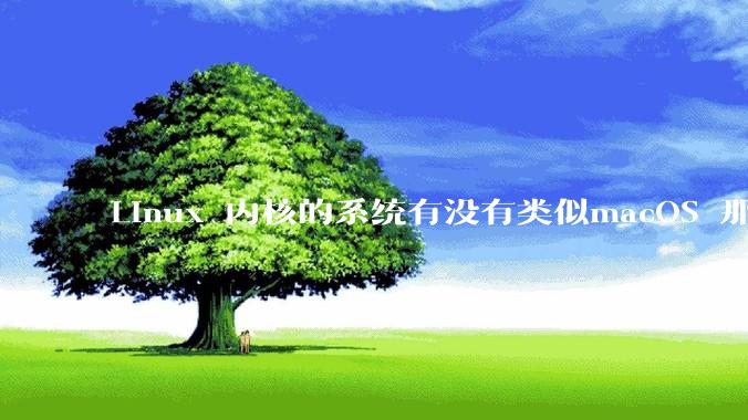 Linux 内核的系统有没有类似macOS 那样漂亮流畅的桌面环境的发行版本?