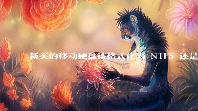 新买的移动硬盘该格式化为 NTFS 还是 exFAT？