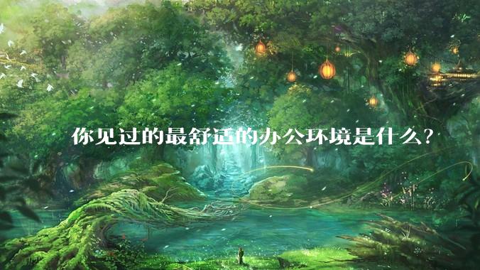 你见过的最舒适的办公环境是什么？