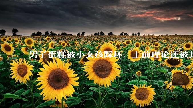 男子蛋糕被小女孩踩坏，上前理论还被其家长辱骂殴打，如果发生这种事情有比***里当事人更好的处理方法吗？
