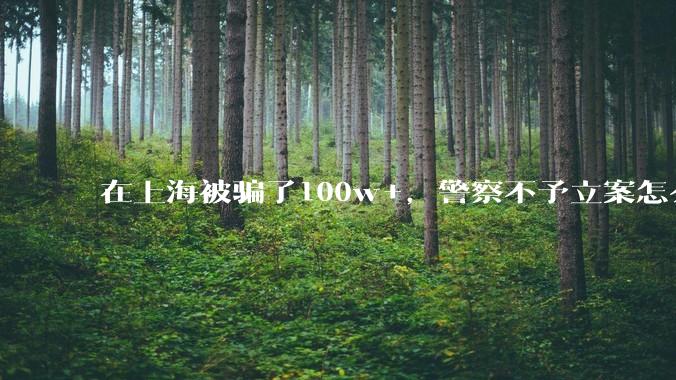 在上海被骗了100w+，警察不予立案怎么办？