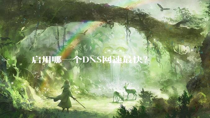 启用哪一个DNS网速最快？