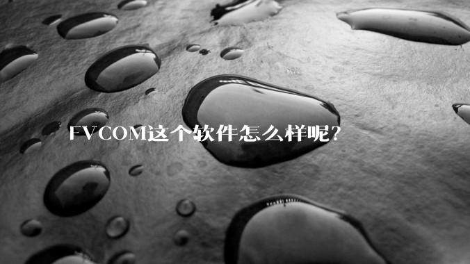 FVCOM这个软件怎么样呢？