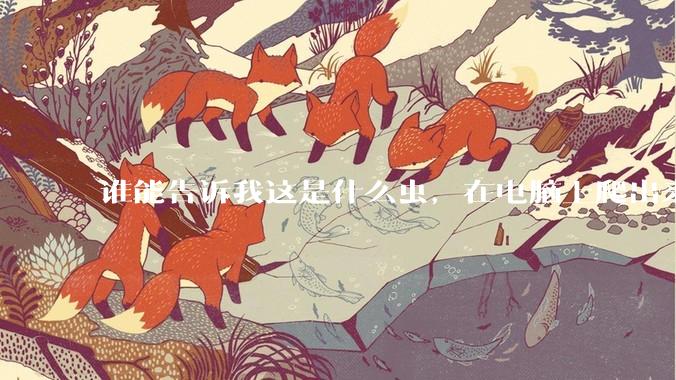 谁能告诉我这是什么虫，在电脑上爬出来吓死我了 ?