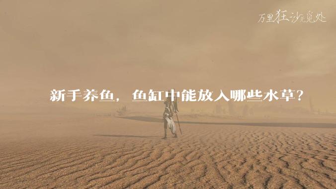 新手养鱼，鱼缸中能放入哪些水草？